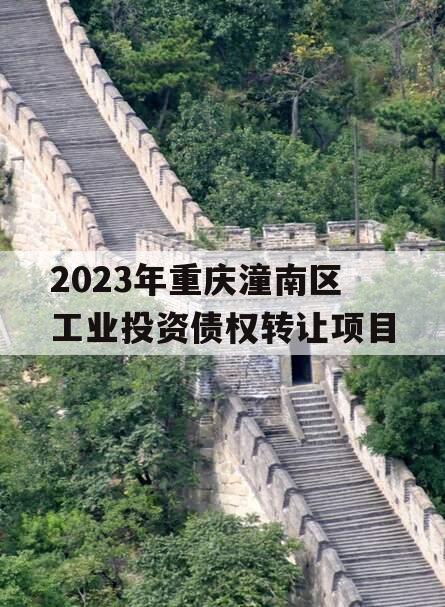 2023年重庆潼南区工业投资债权转让项目