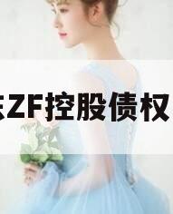 山东ZF控股债权资产