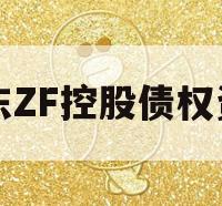 山东ZF控股债权资产