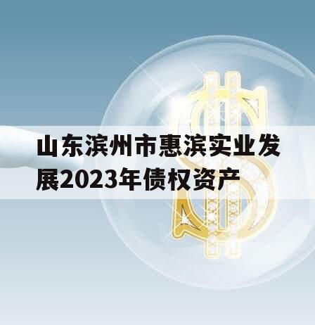 山东滨州市惠滨实业发展2023年债权资产