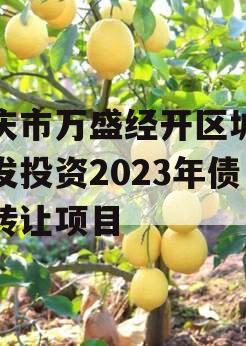 重庆市万盛经开区城市开发投资2023年债权转让项目