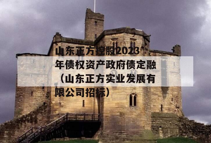 山东正方控股2023年债权资产政府债定融（山东正方实业发展有限公司招标）