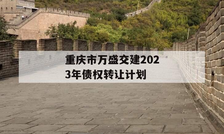 重庆市万盛交建2023年债权转让计划