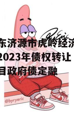 山东济源市虎岭经济发展2023年债权转让项目政府债定融