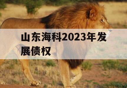 山东海科2023年发展债权