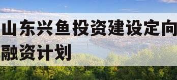 山东兴鱼投资建设定向融资计划