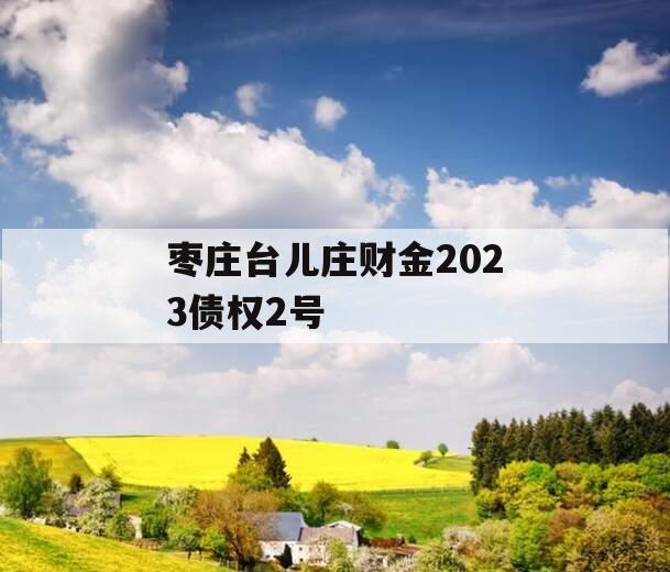 枣庄台儿庄财金2023债权2号