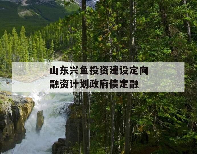 山东兴鱼投资建设定向融资计划政府债定融