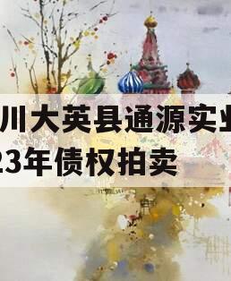 四川大英县通源实业2023年债权拍卖