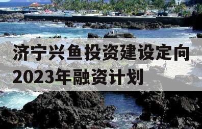 济宁兴鱼投资建设定向2023年融资计划