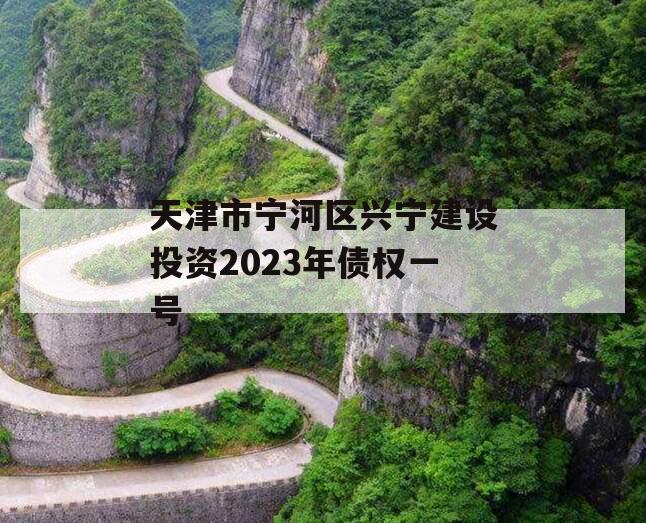 天津市宁河区兴宁建设投资2023年债权一号