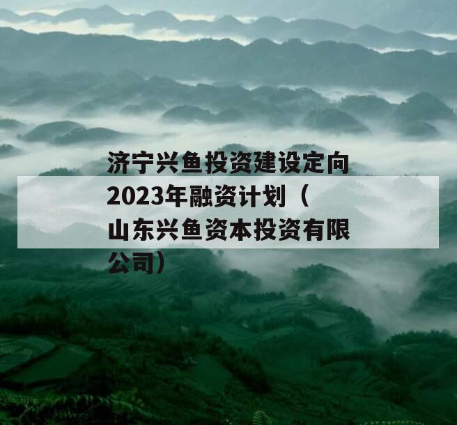 济宁兴鱼投资建设定向2023年融资计划（山东兴鱼资本投资有限公司）