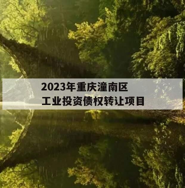 2023年重庆潼南区工业投资债权转让项目