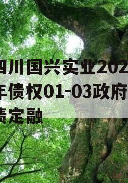 四川国兴实业2023年债权01-03政府债定融