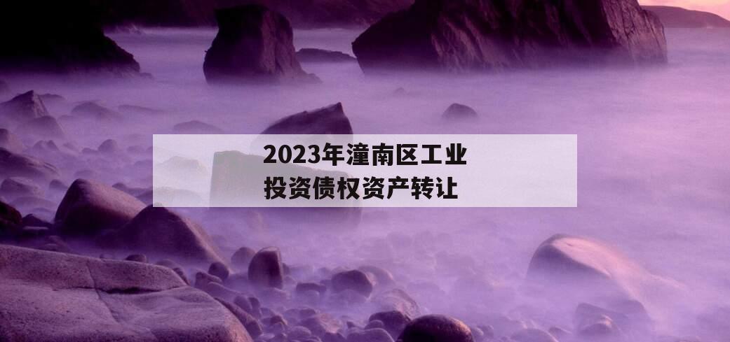 2023年潼南区工业投资债权资产转让