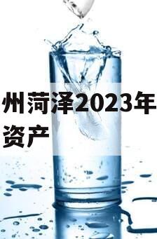 滨州菏泽2023年债权资产