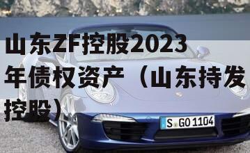 山东ZF控股2023年债权资产（山东持发控股）