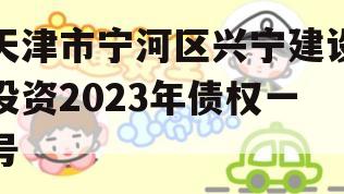 天津市宁河区兴宁建设投资2023年债权一号