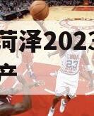 滨州菏泽2023年债权资产