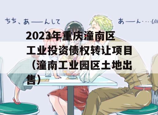 2023年重庆潼南区工业投资债权转让项目（潼南工业园区土地出售）