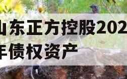 山东正方控股2023年债权资产