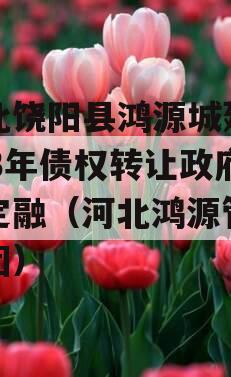 河北饶阳县鸿源城建2023年债权转让政府债定融（河北鸿源管业集团）