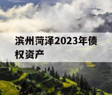 滨州菏泽2023年债权资产