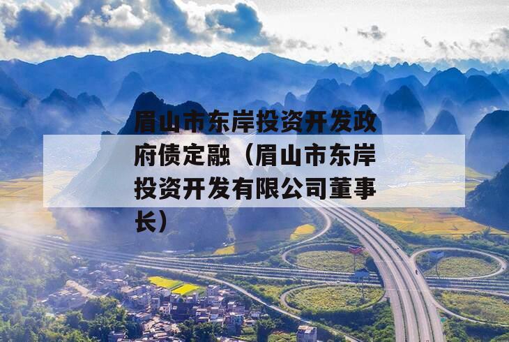 眉山市东岸投资开发政府债定融（眉山市东岸投资开发有限公司董事长）