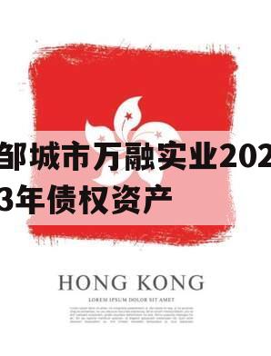 邹城市万融实业2023年债权资产