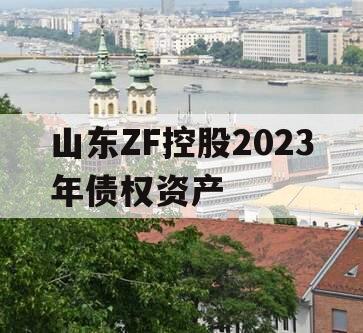 山东ZF控股2023年债权资产