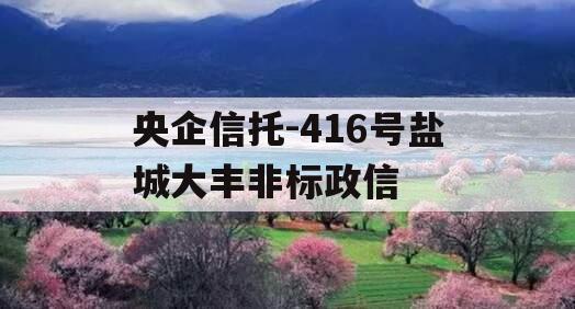 央企信托-416号盐城大丰非标政信