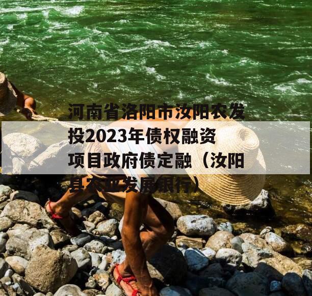 河南省洛阳市汝阳农发投2023年债权融资项目政府债定融（汝阳县农业发展银行）