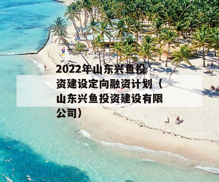 2022年山东兴鱼投资建设定向融资计划（山东兴鱼投资建设有限公司）