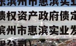 山东滨州市惠滨实业发展债权资产政府债定融（滨州市惠滨实业发展有限公司）