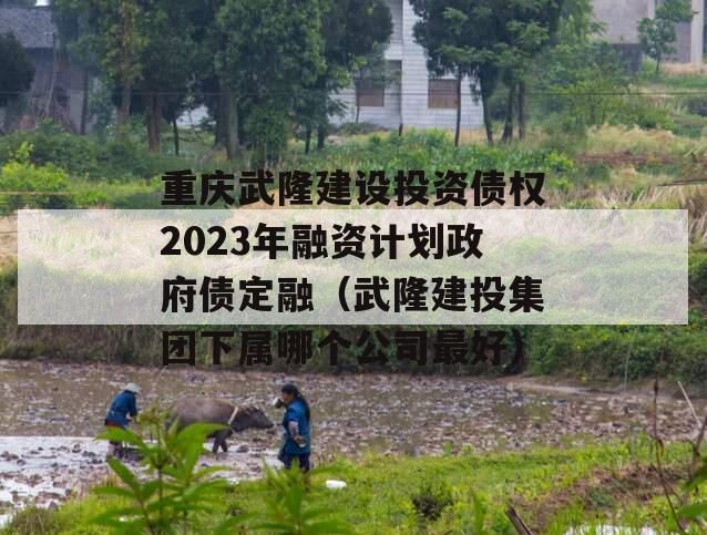 重庆武隆建设投资债权2023年融资计划政府债定融（武隆建投集团下属哪个公司最好）