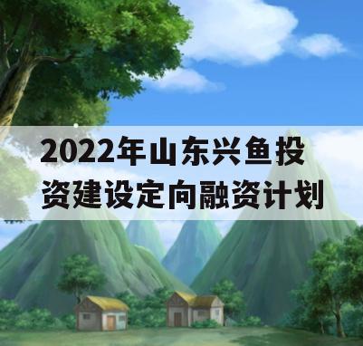 2022年山东兴鱼投资建设定向融资计划