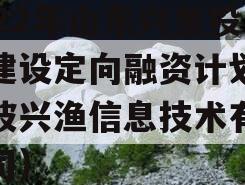 2022年山东兴鱼投资建设定向融资计划（宁波兴渔信息技术有限公司）