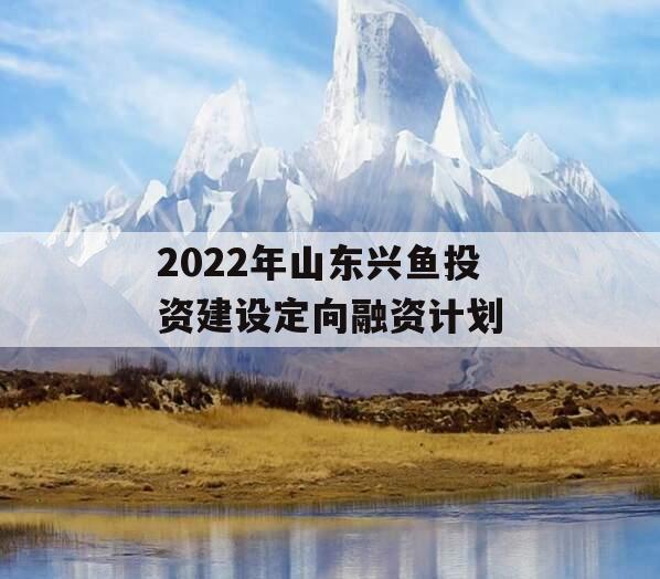 2022年山东兴鱼投资建设定向融资计划