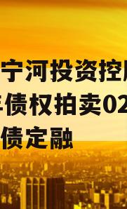 天津宁河投资控股2023年债权拍卖02号政府债定融