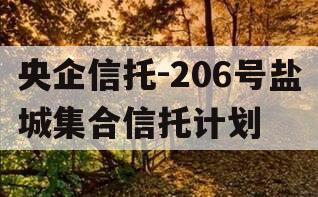 央企信托-206号盐城集合信托计划