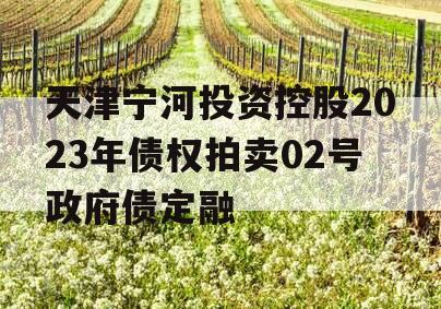 天津宁河投资控股2023年债权拍卖02号政府债定融