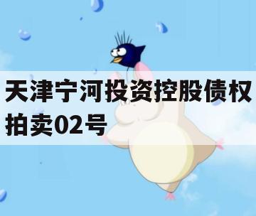 天津宁河投资控股债权拍卖02号