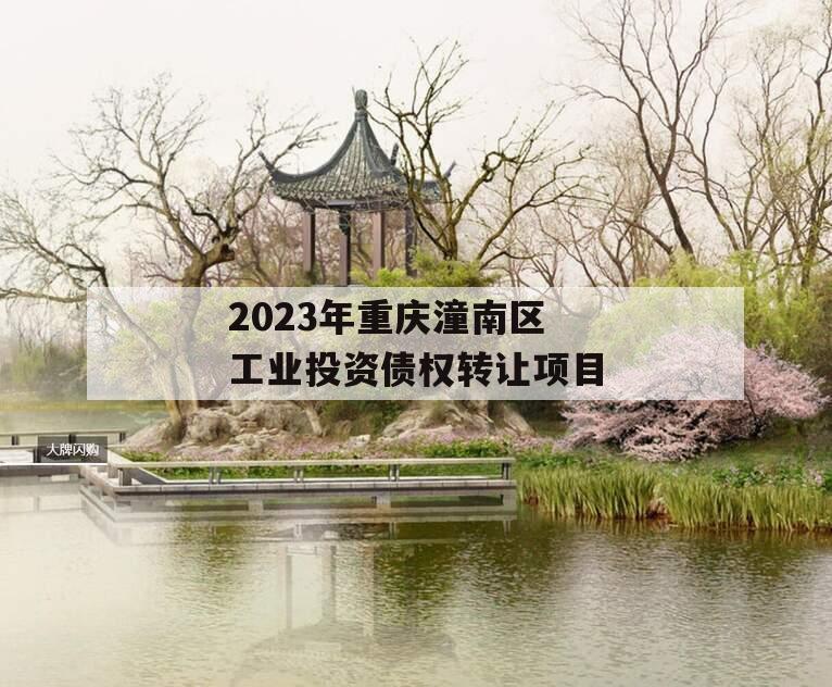 2023年重庆潼南区工业投资债权转让项目