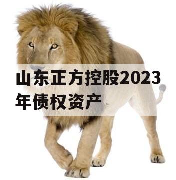 山东正方控股2023年债权资产