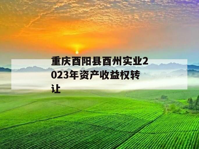 重庆酉阳县酉州实业2023年资产收益权转让