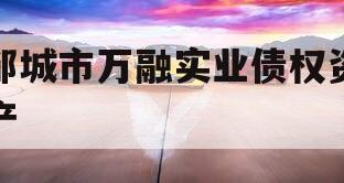 邹城市万融实业债权资产