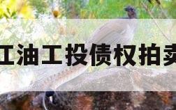 江油工投债权拍卖