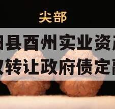 酉阳县酉州实业资产收益权转让政府债定融