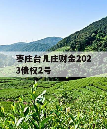 枣庄台儿庄财金2023债权2号