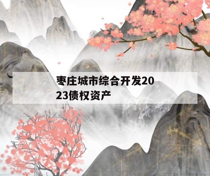 枣庄城市综合开发2023债权资产